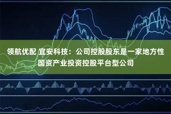 领航优配 宜安科技：公司控股股东是一家地方性国资产业投资控股平台型公司